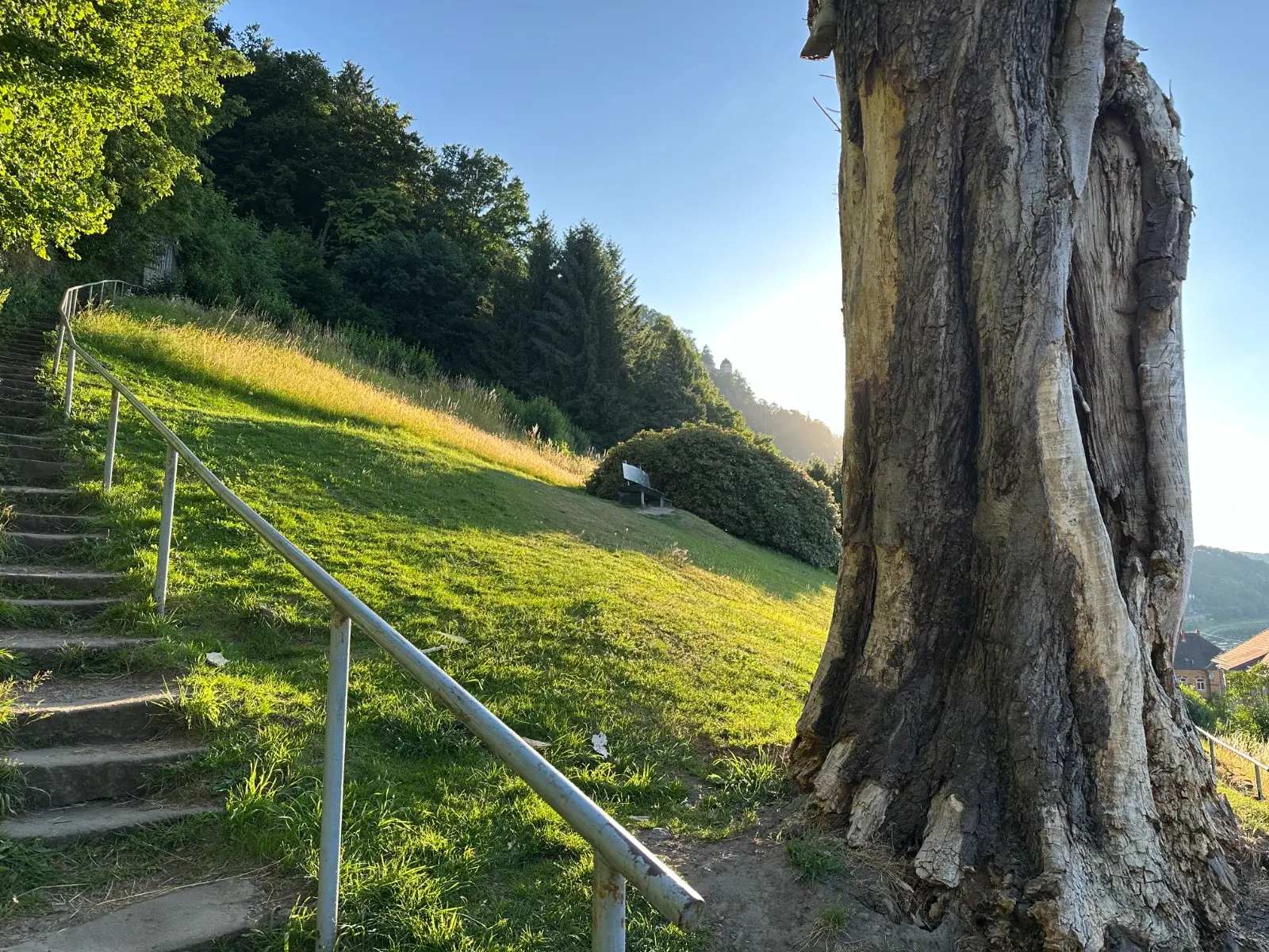 Sommerabend am Aufstieg zur Festung Königstein